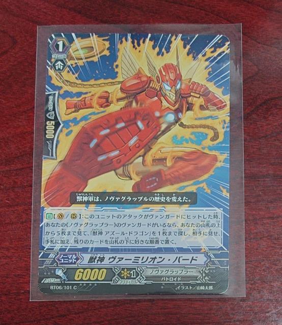 J[ht@CgII@K[h b_ @[~IEo[h m[} BT06/101 C 1163   g[fBOJ[h 