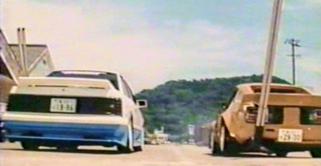 �V���R�^���u�MDVD �� CD/DVD/�r�f�I�� 