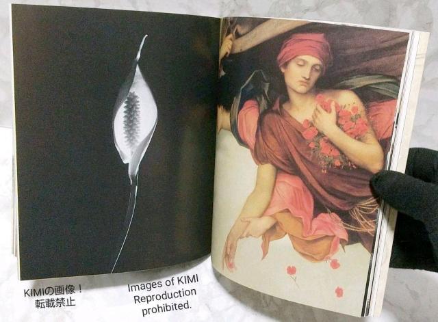 U@A[gtt[@h@ʐ^W@The Artful Flower LLADRO@sN`[ubN  ^gObY 