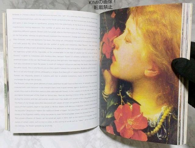 U@A[gtt[@h@ʐ^W@The Artful Flower LLADRO@sN`[ubN  ^gObY 