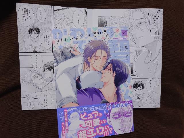 BL[tbgty킢łɂIzIJAL 