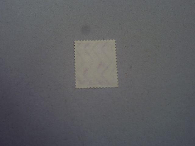 �y���g�p�z�N��؎�@���a12�N�p�@�񌩃��Y�̕v�w��@1��