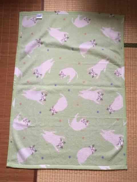 白猫のターチャン・ネコ柄サマーブランケット。ライトグリーン < インテリア/ライフ  白猫のターチャン・ネコ柄サマーブランケット。ライトグリーン < インテリア/ライフの