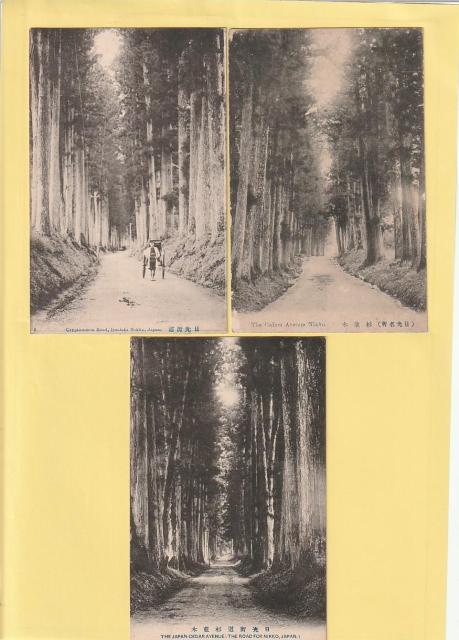 X ̊G͂ 3y&#8557;-2z   zr[ 