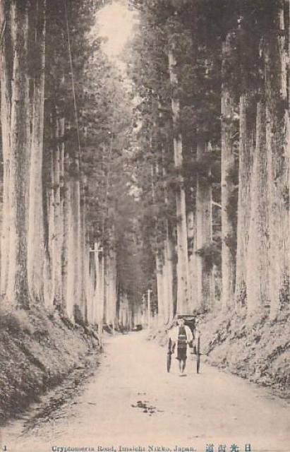 X ̊G͂ 3y&#8557;-2z  zr[ 