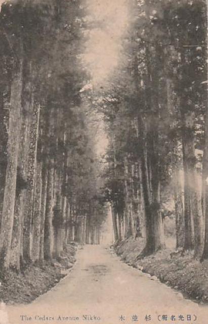 X ̊G͂ 3y&#8557;-2z  zr[ 