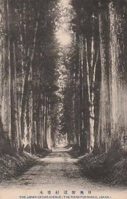 X ̊G͂ 3y&#8557;-2z  zr[ 