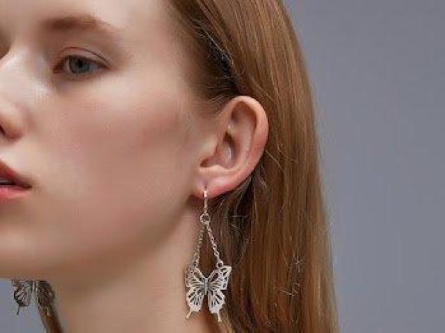 �o�^�t���C �� �h���b�v�s�A�X �A�N�Z�T���[ �A�N�Z �� �����A�N�Z�T���[/���v�� 