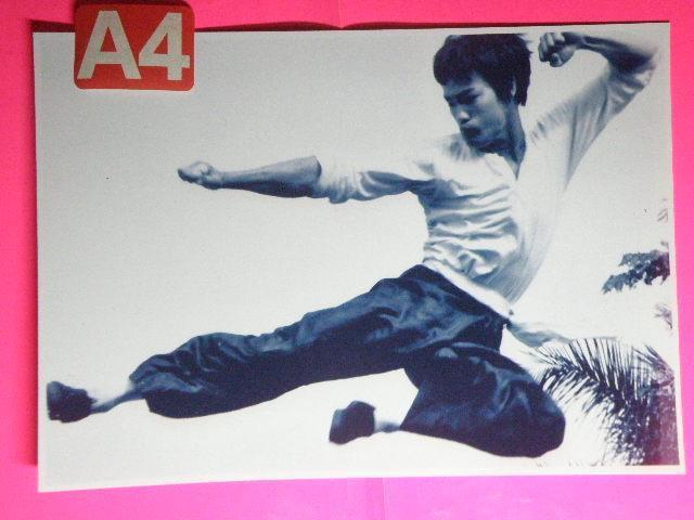 ★ブルース・リー(中: 李 小龍)Bruce Lee A4サイズ6枚+A5サイズ+2Lサイズ+◎ クリアポケット入り < タレントグッズ ★ブルース・リー(中: 李 小龍)Bruce Lee A4サイズ6枚+A5サイズ+2Lサイズ+◎ クリアポケット入り < タレントグッズの