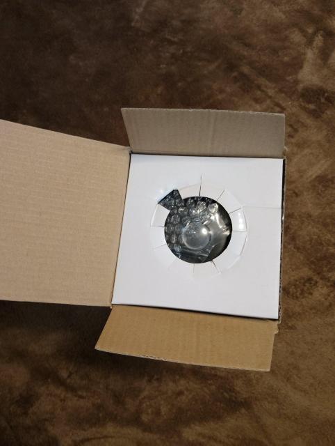 �V�i���g�p���g���ƃW�F���[�@�����^�� �� �C���e���A/���C�t�� 