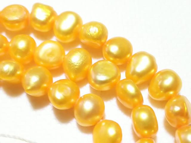 ӂ܊ӂcVR΁Wp[@|eg@PA