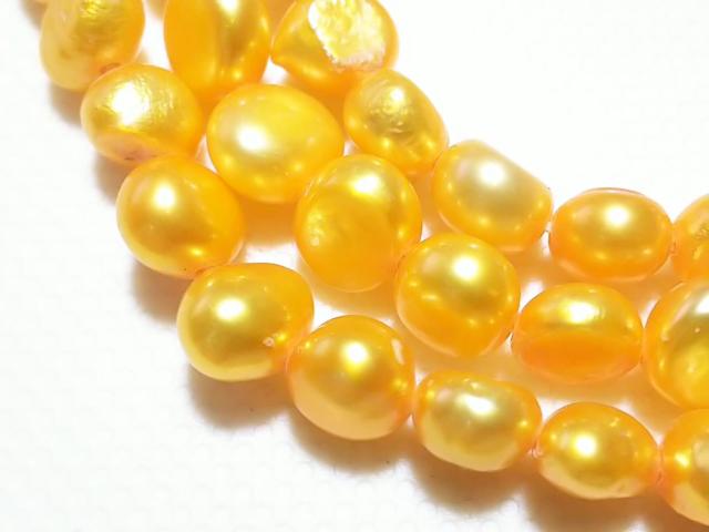 ӂ܊ӂcVR΁Wp[@|eg@PA