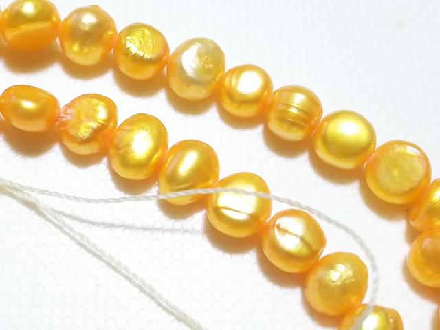 ӂ܊ӂcVR΁Wp[@|eg@PA