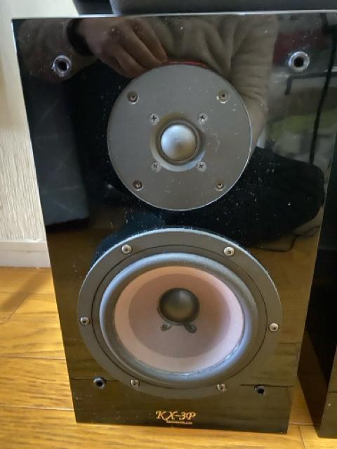 KRIPTON Xs[J[VXe KX-3P 2{  Ɠd/AV 