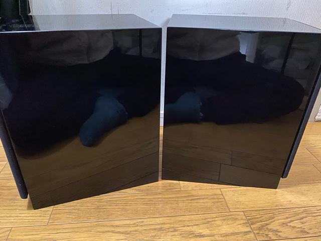 KRIPTON Xs[J[VXe KX-3P 2{  Ɠd/AV 