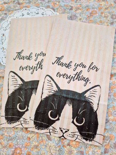 L̃y[p[obN2   CeA/Ct 