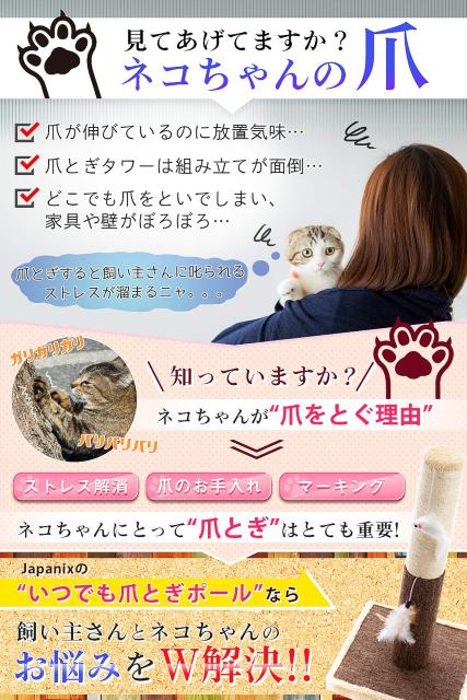 Lp cƂ ł܂Ƃ|[L O ˂  ybg/|/| 