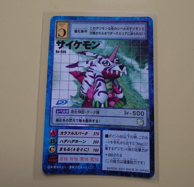 fW^X^[J[hQ[ TCP Bo-556 1009 