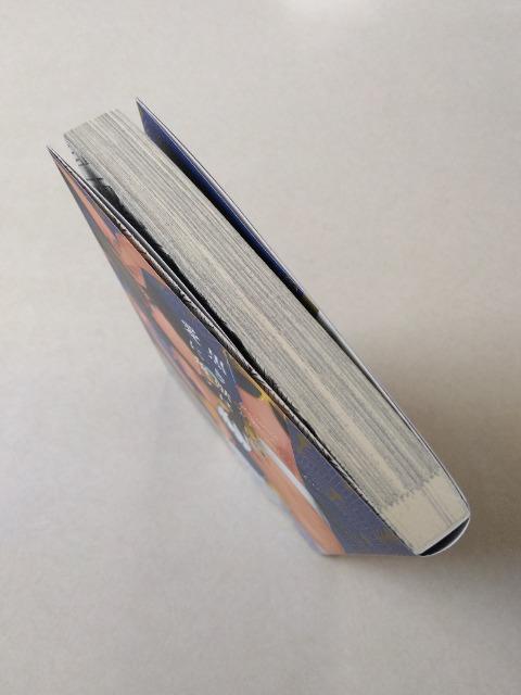 黒き獣は愛に落つ/あさじまルイ < アニメ/コミック/キャラクター 黒き獣は愛に落つ/あさじまルイ < アニメ/コミック/キャラクターの