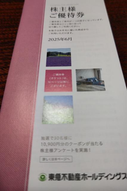 【非売品】東急不動産ホールディングス 株主優待券(100株) < チケット/金券 【非売品】東急不動産ホールディングス 株主優待券(100株) < チケット/金券の