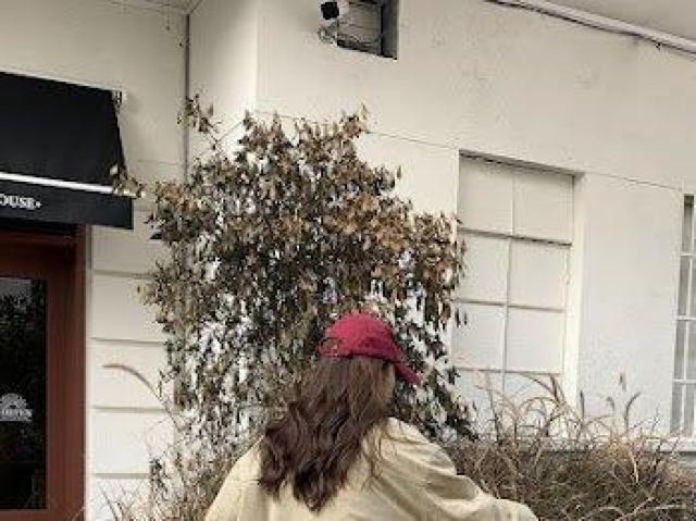 ۋݐ؂ւ neBOWPbg x[W  t@bV 