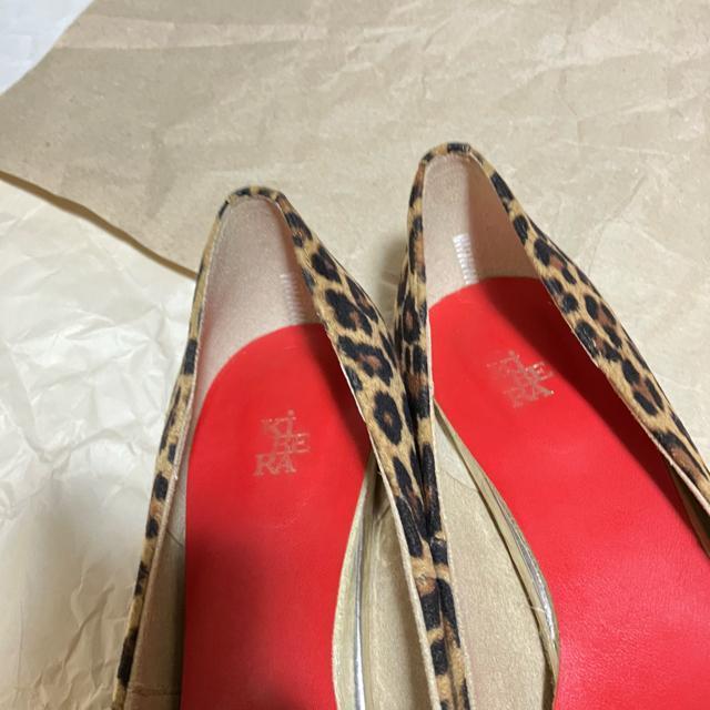 yKiBERA / Lrz EhnCq[pvX pT[ / 23.0  t@bV 