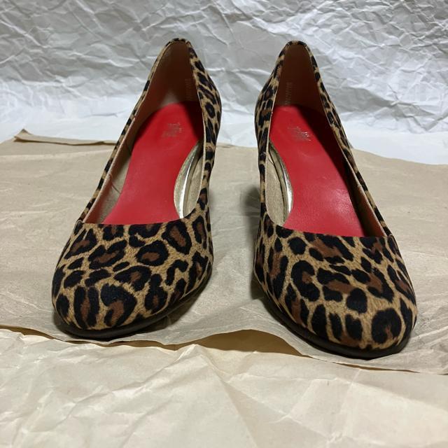 yKiBERA / Lrz EhnCq[pvX pT[ / 23.0  t@bV 