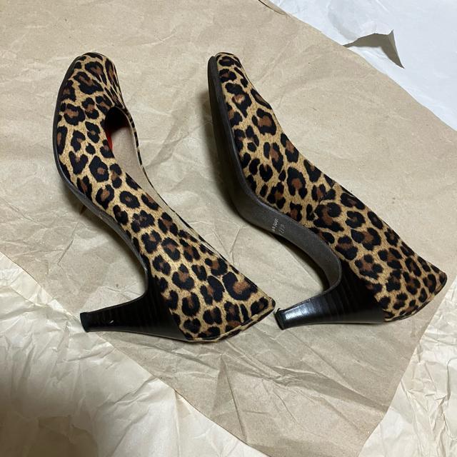 yKiBERA / Lrz EhnCq[pvX pT[ / 23.0  t@bV 