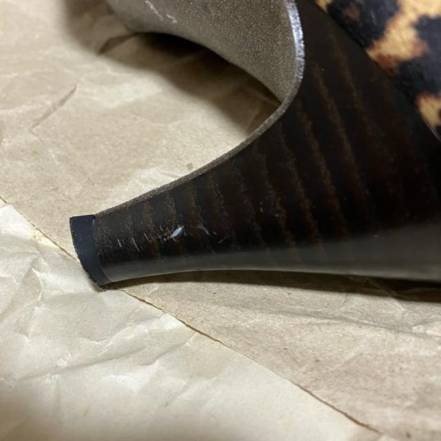 yKiBERA / Lrz EhnCq[pvX pT[ / 23.0  t@bV 