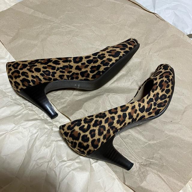 yKiBERA / Lrz EhnCq[pvX pT[ / 23.0  t@bV 