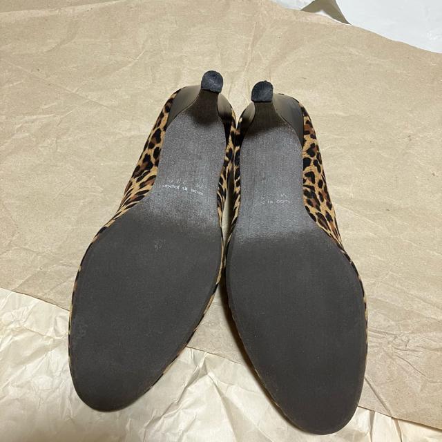 yKiBERA / Lrz EhnCq[pvX pT[ / 23.0  t@bV 