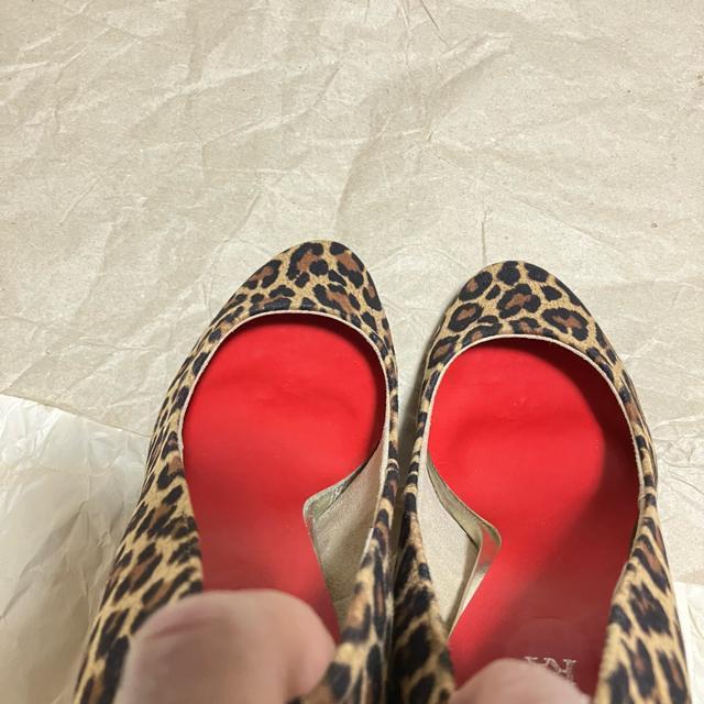 yKiBERA / Lrz EhnCq[pvX pT[ / 23.0  t@bV 