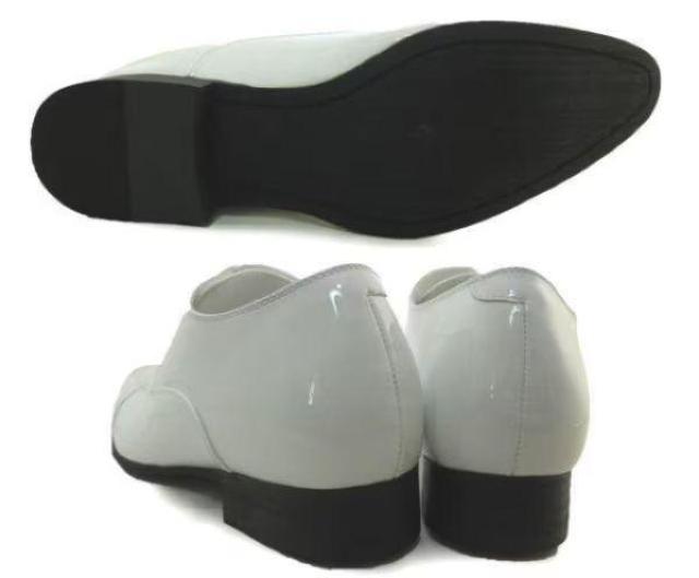 1~~C175Vicloud9Xg[g`bvҏグ/HV[NbgV[Y25a  jt@bV 