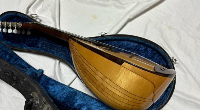 SUZUKI�o�C�I�������@�}���h�����@M-30 ��p�P�[�X�t��1916-01-1 �� �z�r�[�� 