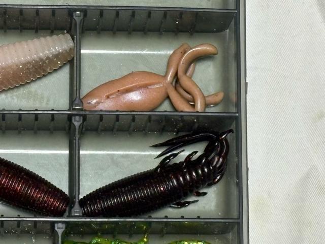 釣り用ソフトルアーワームセット シャッドテールワーム 4134-04-1 < レジャー/スポーツ 釣り用ソフトルアーワームセット シャッドテールワーム 4134-04-1 < レジャー/スポーツの