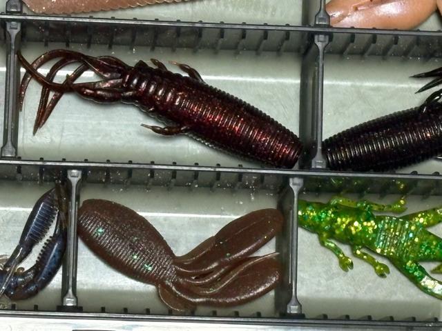 釣り用ソフトルアーワームセット シャッドテールワーム 4134-04-1 < レジャー/スポーツ 釣り用ソフトルアーワームセット シャッドテールワーム 4134-04-1 < レジャー/スポーツの