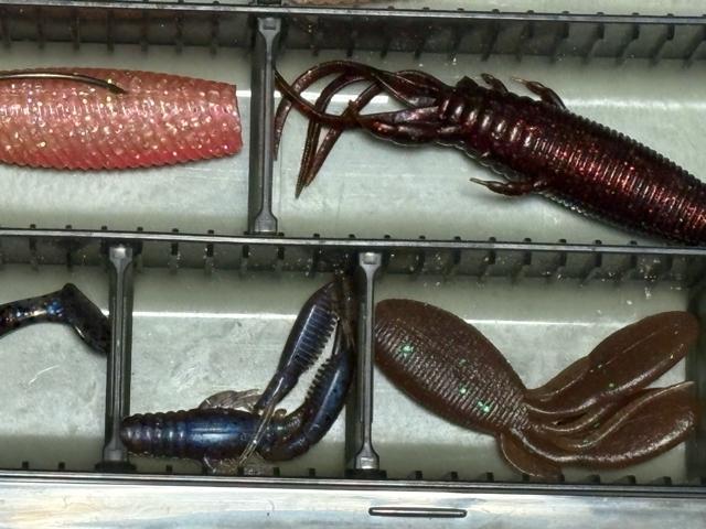 釣り用ソフトルアーワームセット シャッドテールワーム 4134-04-1 < レジャー/スポーツ 釣り用ソフトルアーワームセット シャッドテールワーム 4134-04-1 < レジャー/スポーツの