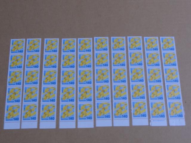 140~؎ 50 ʐ؎   zr[ 