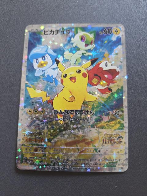 |P sJ`E 1   g[fBOJ[h 