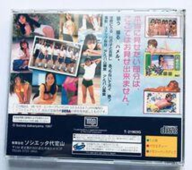 Aoy Zg|[Aw@  nKL St. Paulia Jogakuin Societta Daikanyama  Q[{/\tg 