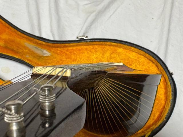 �ΐ쏷��Y�@�}���h�����@��H�i�@�t���i�Ɛ�p�P�[�X�t���@�Ǖi�@1915-10-1 �� �z�r�[�� 