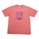 }[bg Go[h  TVc RED/XLTCY z bh