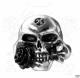 ALCHEMY GOTHIC: f~ AP~XgDemi Alchemist