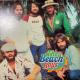 The Beach Boys / The Beach Boys   No3-16