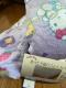 gfށIӂ胂RRILeB񕿁IVOOTCYIg|zcJo[IViI150~210Z`