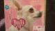 !ڱ!Juliet(ޭش)/ށ/CD+DVDViJ