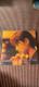 ZARD SINGLE COLLECTION`20th ANNIVERSARY`