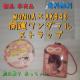 Vi 񔄕i WONDA~AKBJ^Xgbv Oc֎q 2012ÑmxeB