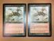 MTG SCG �U���e�B�b�h�̑�Q/Xantid Swarm �p�� 2���@���̂Q