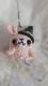 nEB҂݂݃Xgbv
